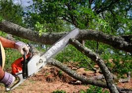 Mulching Services in Moweaqua, IL